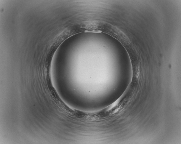 X0000068310697200604211204