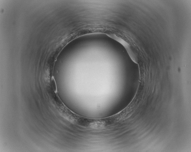 X0000068310700200604211204