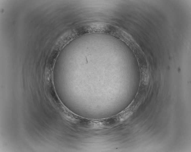 X0000068310701200604211204