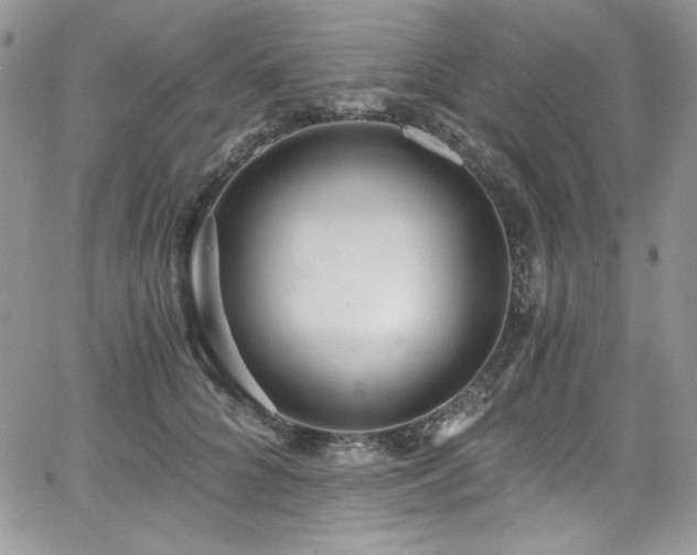 X0000068310704200604211204