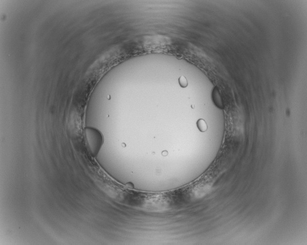 X0000068310705200604211204