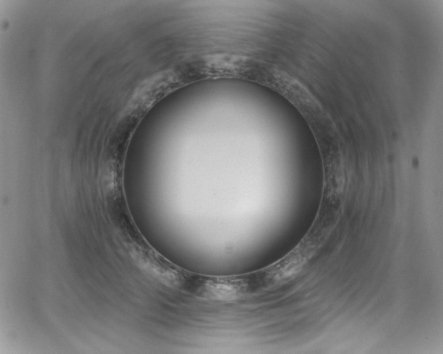 X0000068310706200604211204