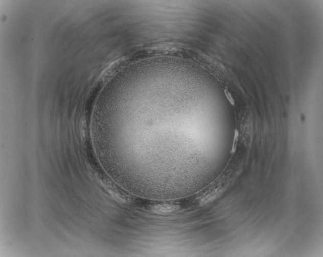 X0000068310708200604211204