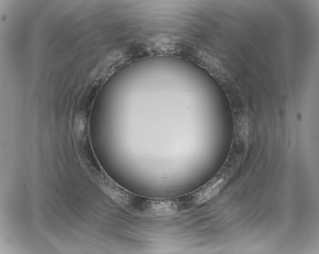 X0000068310709200604211204