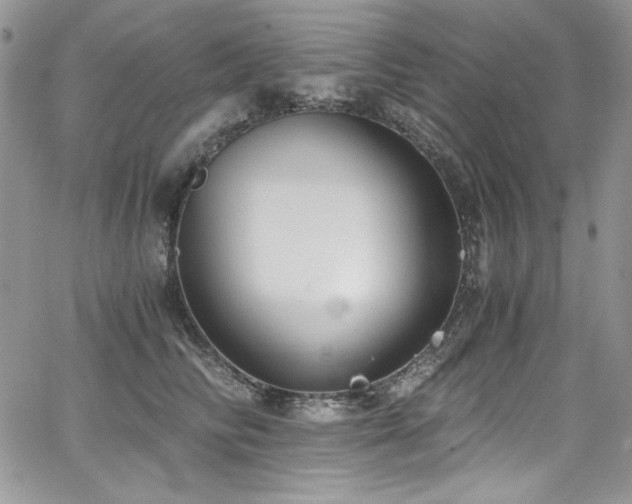 X0000068310710200604211204