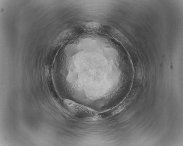 X0000068310711200604211204