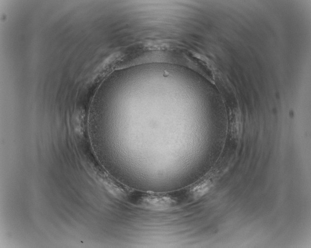 X0000068310712200604211204