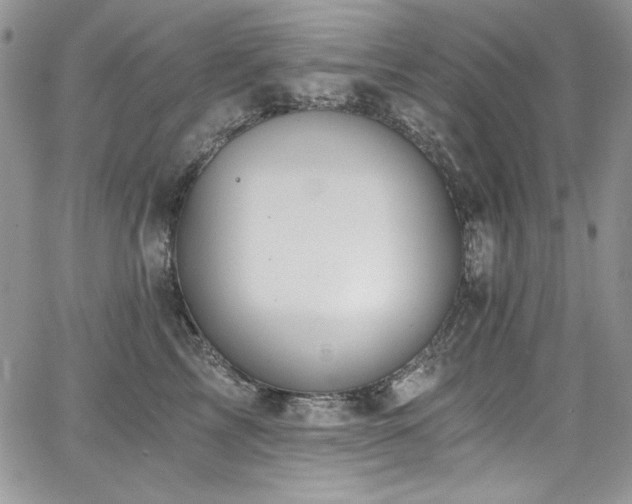 X0000068310713200604211204