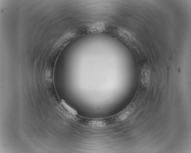 X0000068310714200604211204