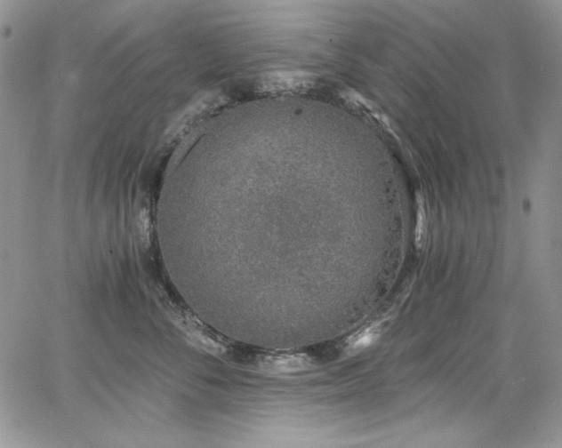 X0000068310716200604211204