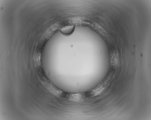 X0000068310717200604211204