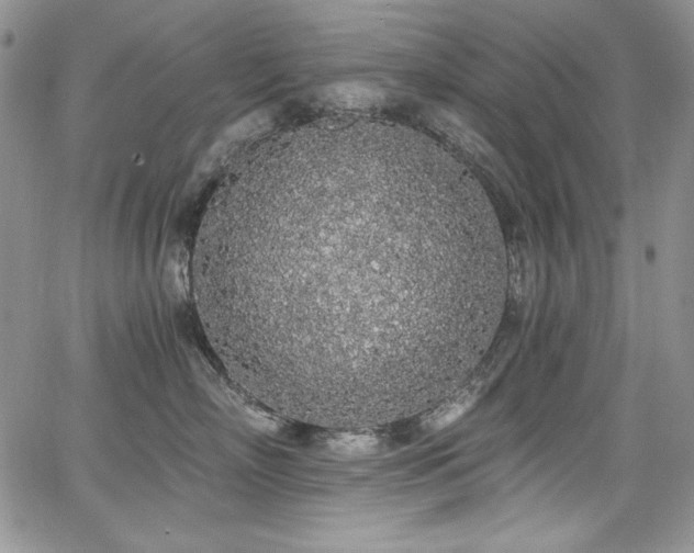 X0000068310718200604211204