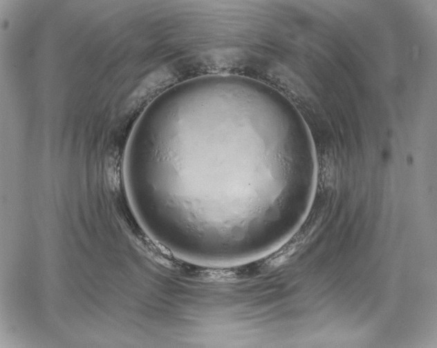 X0000068310719200604211204