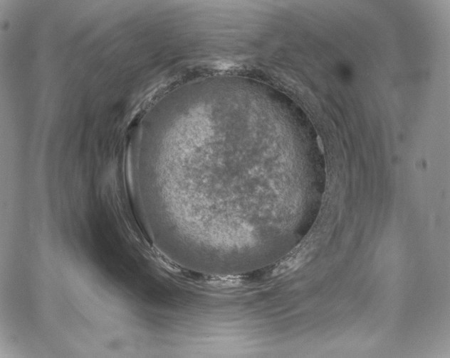 X0000068310720200604211204