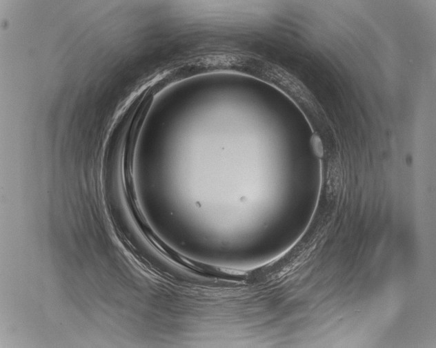 X0000068310722200604211203