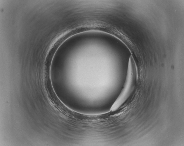 X0000068310724200604211203