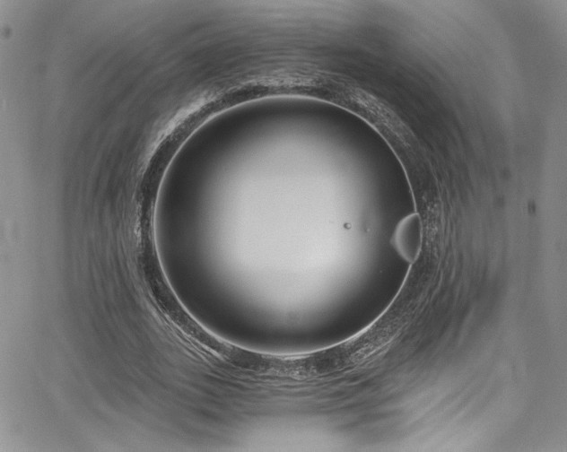 X0000068310727200604211203