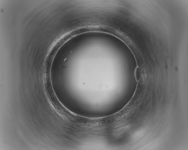 X0000068310728200604211203