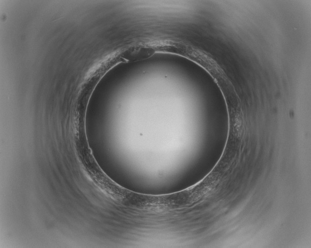 X0000068310732200604211203