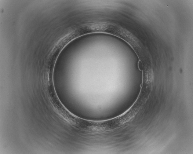 X0000068310733200604211203