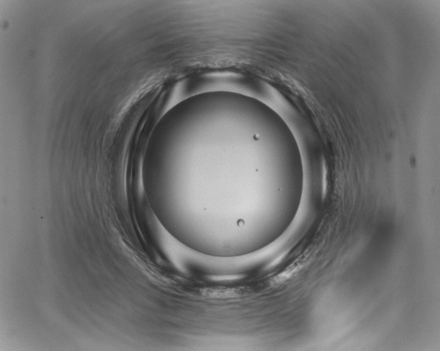 X0000068310735200604211203