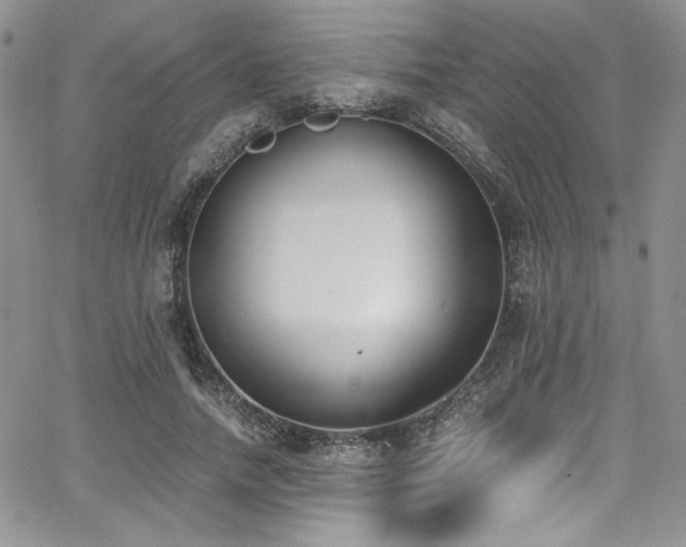 X0000068310738200604211203