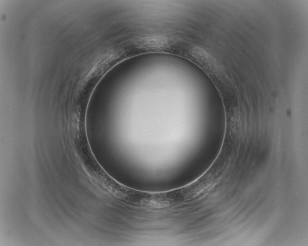 X0000068310739200604211203