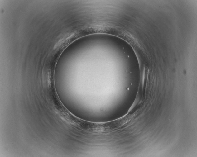 X0000068310740200604211203