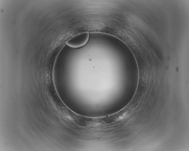 X0000068310743200604211203