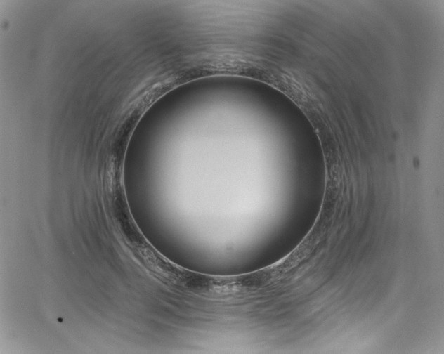 X0000068310744200604211203