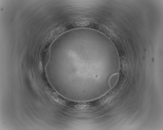 X0000068310745200604211203