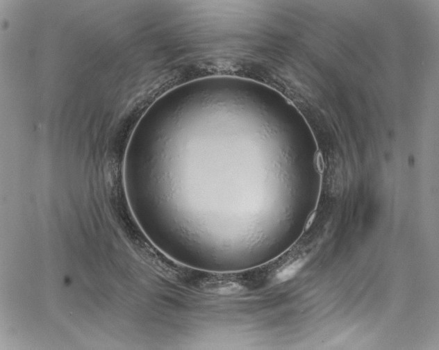 X0000068310747200604211203