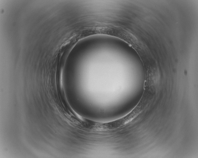 X0000068310750200604211203