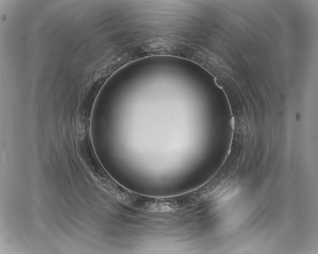 X0000068310751200604211203