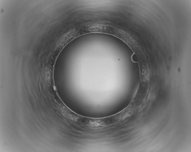 X0000068310753200604211204