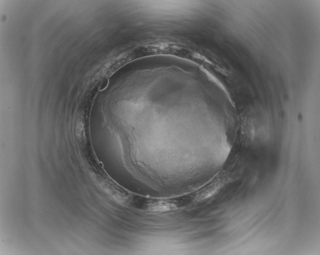 X0000068310754200604211204