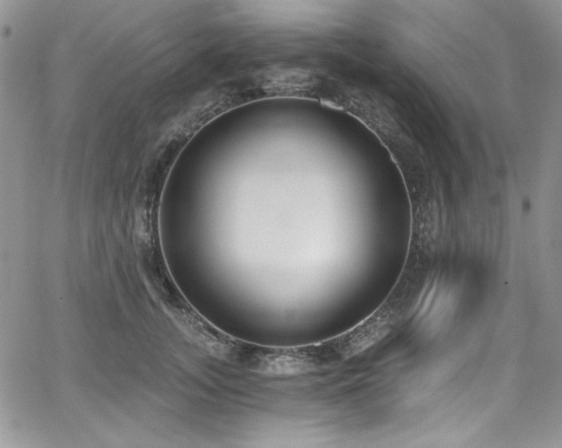 X0000068310755200604211204