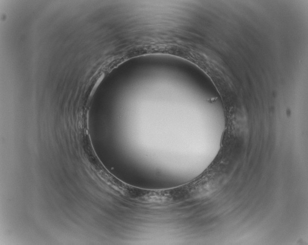 X0000068310756200604211204