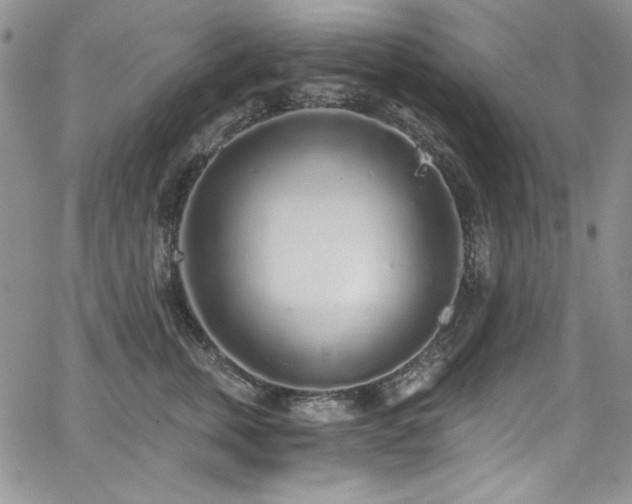 X0000068310759200604211204