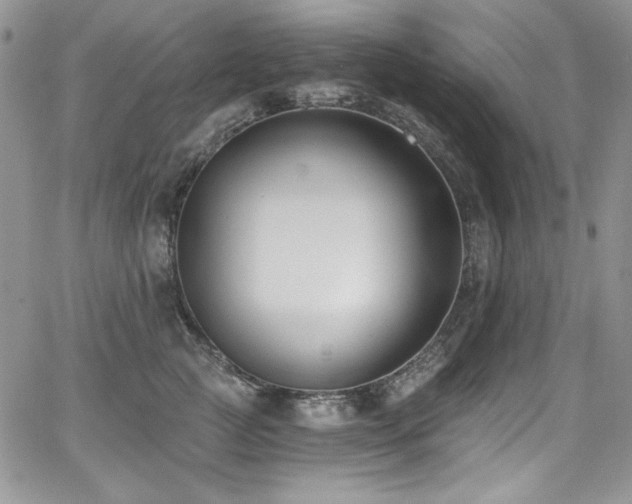 X0000068310761200604211204