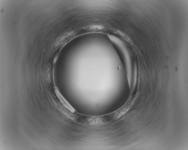 X0000068310762200604211204