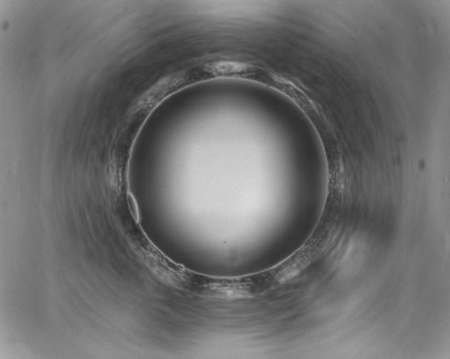 X0000068310763200604211204