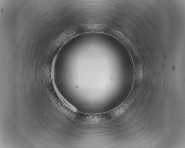 X0000068310764200604211204