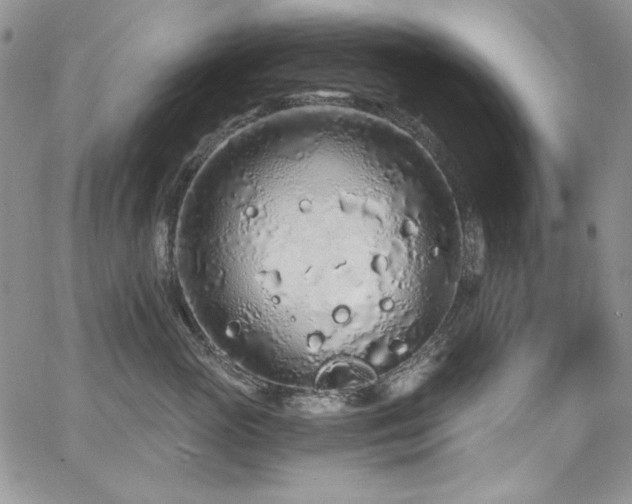 X0000068310765200604211204