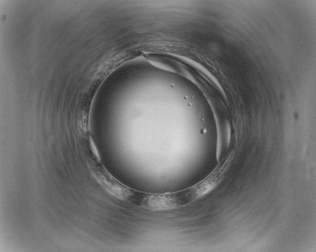 X0000068310766200604211204