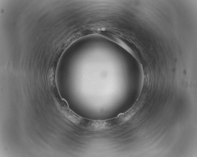 X0000068310767200604211204