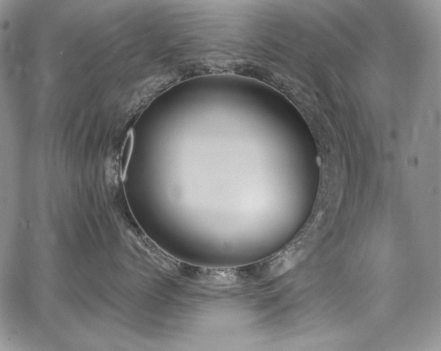 X0000068310768200604211204