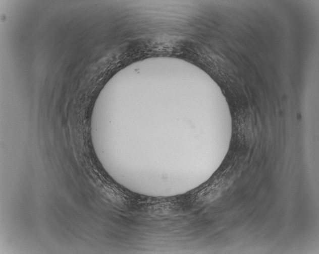 X0000068310769200604211203