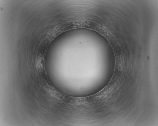 X0000068310770200604211203