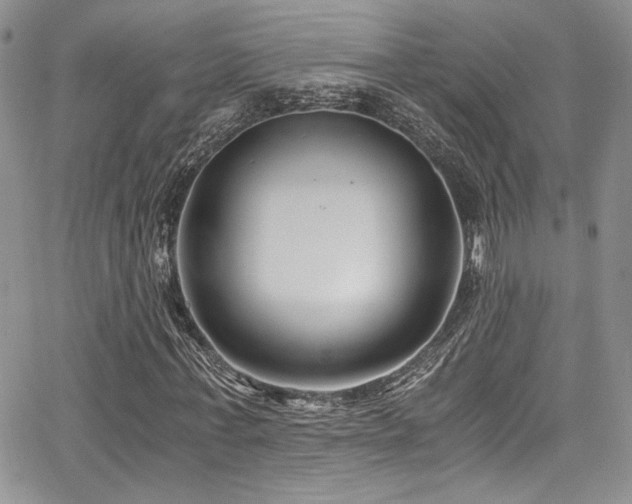 X0000068310771200604211203